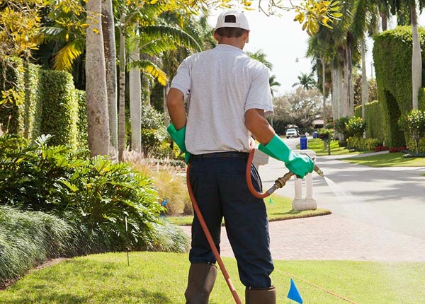 About Atlanta KS Pest Control